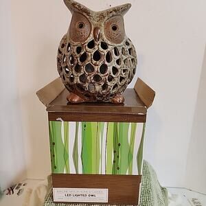 Imagine Nation Led Lighted Ceramic Owl Ceramic 7 In Stone Look Carved Patio